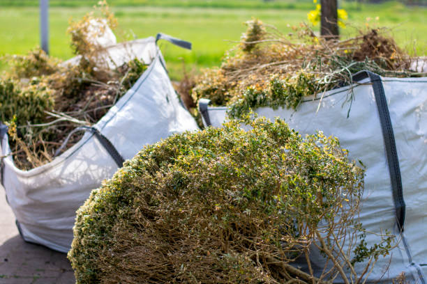  Bemiss, GA Junk Removal Services Pros