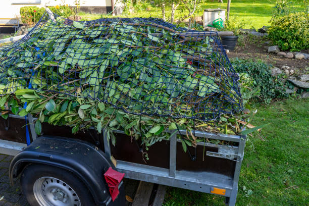 Same-Day Junk Removal Services in Bemiss, GA